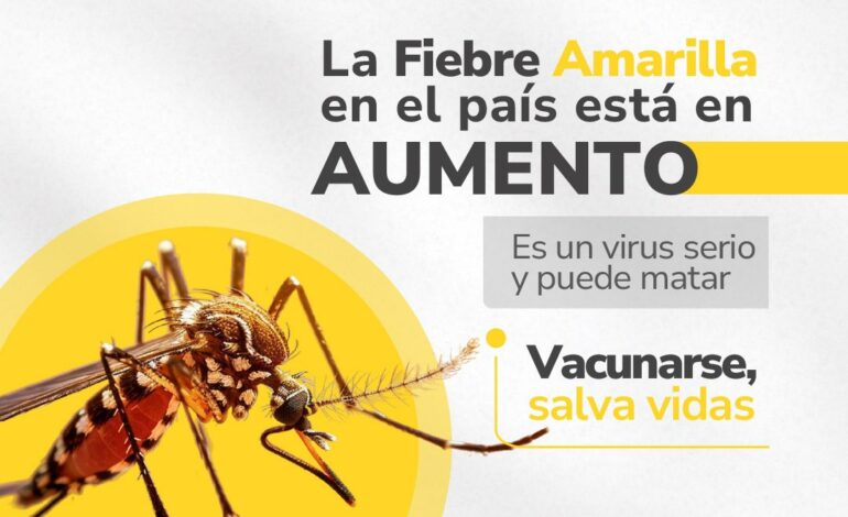 Gobierno declara Emergencia Sanitaria en Colombia por Brote de Fiebre Amarilla