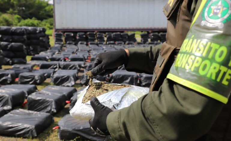Cae Cargamento de Marihuana Disfrazado con Empanadas